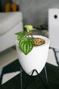 Close-up of drink served on table