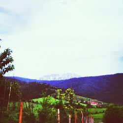 Scenic view of landscape against sky