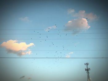 Low angle view of birds flying against sky