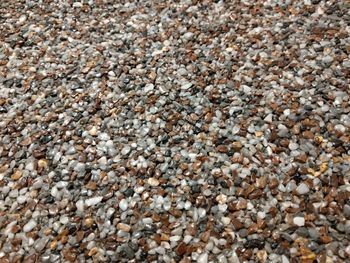 Full frame shot of pebbles on beach