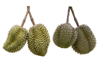 Close-up of fruits against white background