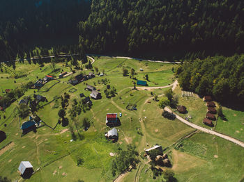 High angle view of trees on field