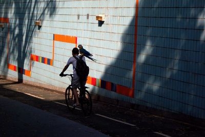 Man riding bicycle on road in city