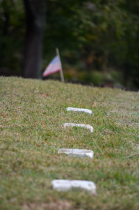 American flag at civil war cemetery