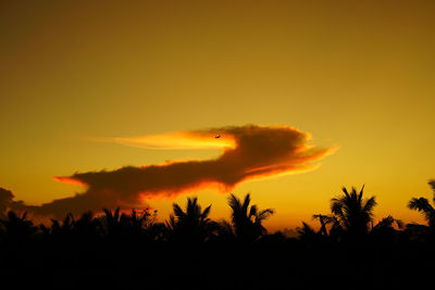 Silhouette trees against sky during sunset