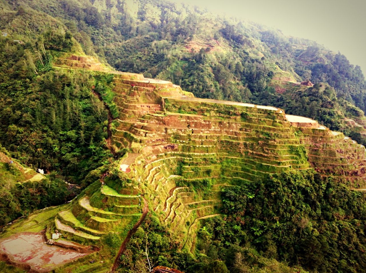 Banaue Rice Terraces Viewpoint