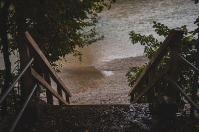 Staircase by river against trees