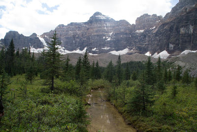 Stream with mountain in background