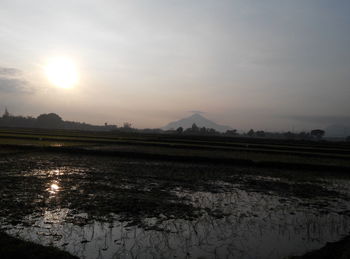 Scenic view of agricultural landscape against sky during sunset