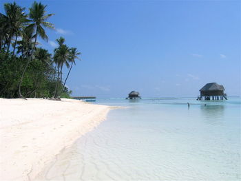 Scenic view of tropical beach