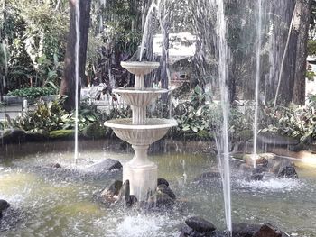 Fountain in lake against trees in forest