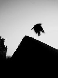 Low angle view of bird flying against sky