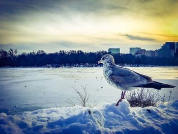 Scenic view of snow covered landscape against cloudy sky