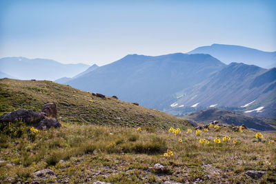 Landscape with mountain range in background