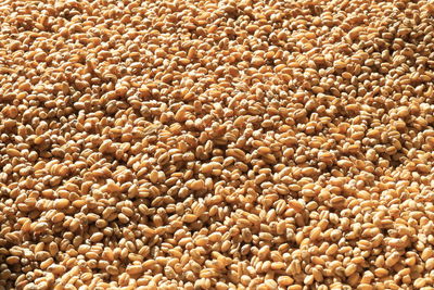 Full frame shot of roasted coffee beans