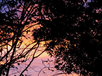 Low angle view of silhouette trees against sky at sunset