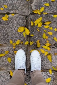 Low section of man standing by leaves on footpath