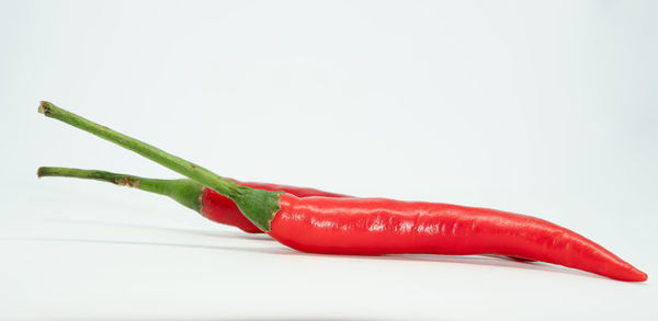 Close-up of red chili pepper against white background