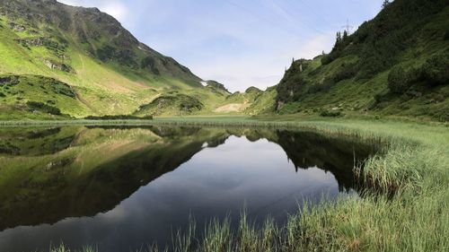 Reflection of trees in water