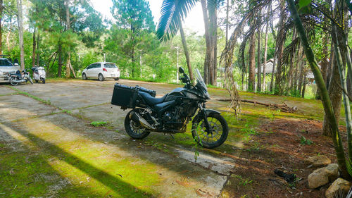 Motorcycle on road amidst trees in city