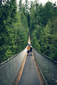 Rear view of people walking on footbridge in forest