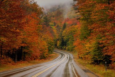 Country road amidst trees during autumn