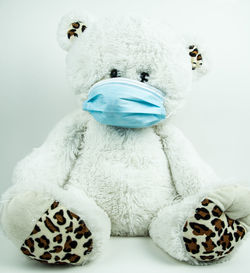 Close-up of stuffed toy over white background