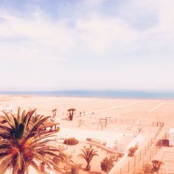 High angle view of palm trees on beach against sky