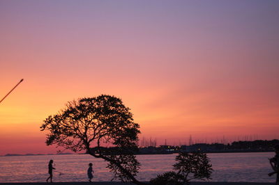 Silhouette tree on beach against sky at sunset