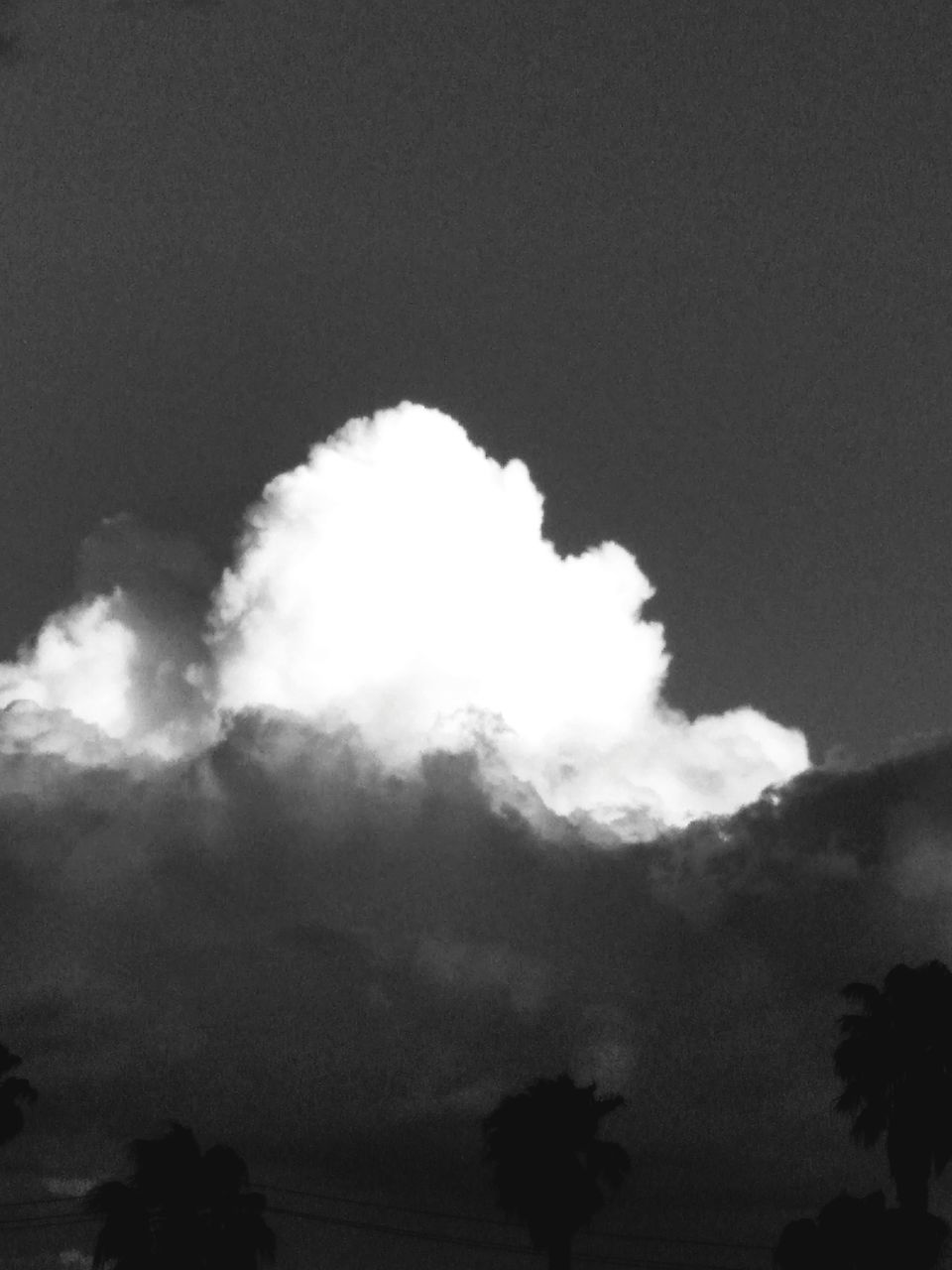 cloud, sky, black and white, tree, nature, darkness, monochrome, monochrome photography, no people, silhouette, plant, environment, beauty in nature, outdoors, low angle view, scenics - nature, smoke, tranquility