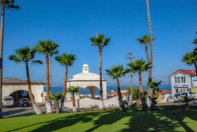 Palm trees by building against blue sky
