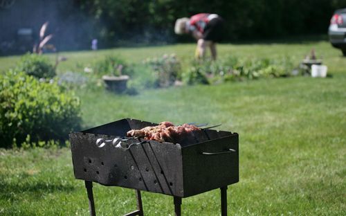 Close-up of food on field