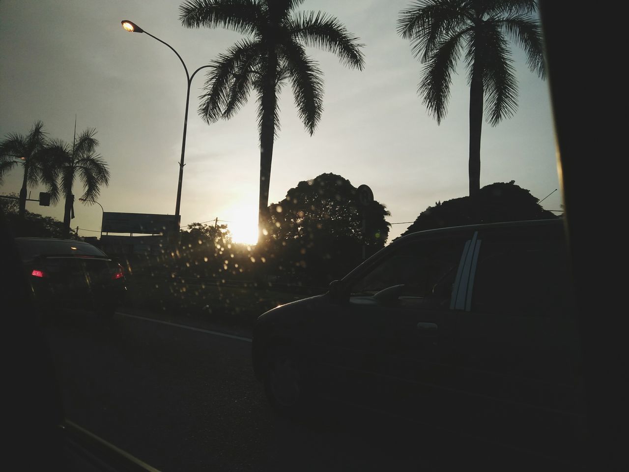 VEHICLES ON ROAD AGAINST SILHOUETTE TREES AND PLANTS