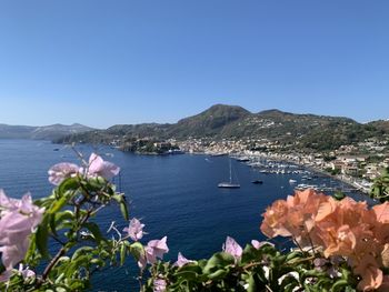 Scenic view of sea against clear blue sky