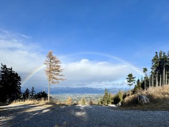 Scenic view of beach against clear blue sky