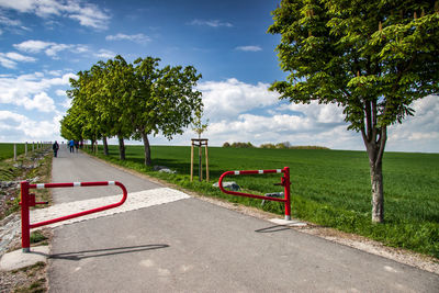 Road by trees in park against sky