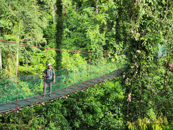 Rear view of woman walking in forest