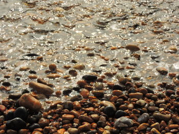 Surface level of pebbles in sea