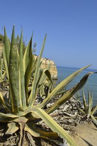 View of sea against blue sky