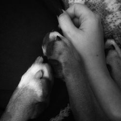 Close-up of hand holding baby