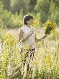 Woman is picking solidago, commonly called goldenrods, on autumn field. florist at work. 