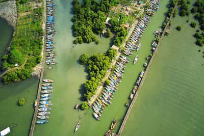 High angle view of plants by river in city