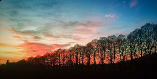 Silhouette trees on landscape against sky at sunset