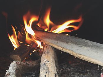 Close-up of bonfire at night