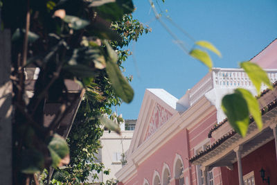Low angle view of trees and buildings against sky