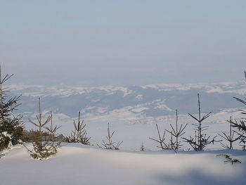 Snow covered mountains