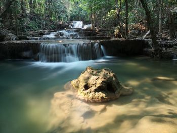 Scenic view of waterfall in forest