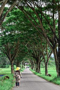 Rear view of woman walking on road amidst trees