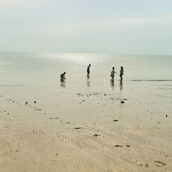 People on beach against sky