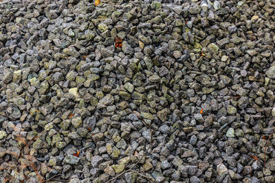 High angle view of stones on pebbles